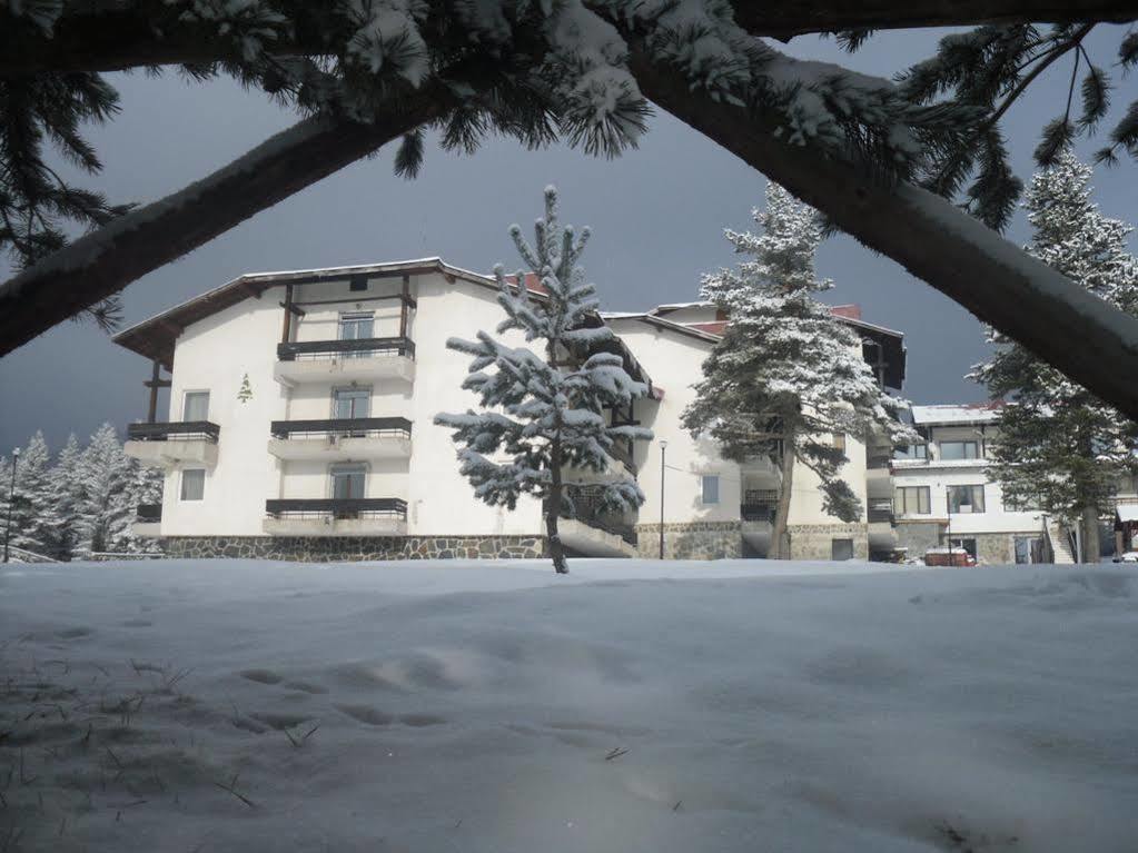 Bor Hotel Belitsa (Blagoevgrad) Ngoại thất bức ảnh