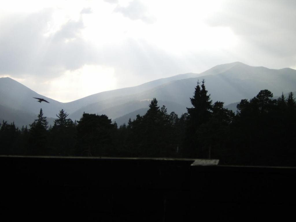 Bor Hotel Belitsa (Blagoevgrad) Phòng bức ảnh
